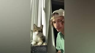 BEST COUB COMPILATION | Best coub | Coub Best | Best coub 2021 | Лучшие приколы 2021 | TikTok memes