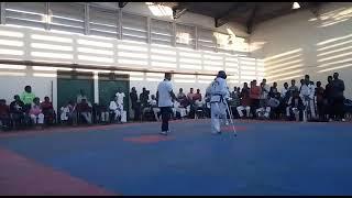 Para ITF Taekwondo sparring (Amputee athletes)