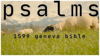 Psalms - 1599 Geneva Audio Bible