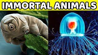 10 IMMORTAL ANIMALS