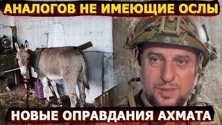 Ослы на фронте, оправдания Ахмата и контрнаступление ВСУ