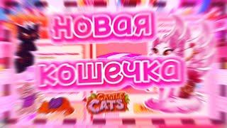 КУПИЛА ОЧЕНЬ РЕДКУЮ И ДОРОГУЮ КОШКУ В CASTLE CATS | ТРАТИМ АЛМАЗЫ В КЭСЛ КЭТС | Шилки