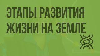 Этапы развития жизни на Земле. Видеоурок по биологии 9 класс