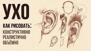 «КАК НАРИСОВАТЬ УШИ?» Практический видео-урок от Евгении Банник | Онлайн-школа Akademika