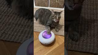 Nobleza UFO Electric Cat Toy 218059