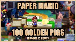 Paper Mario - Getting 100 Golden Pigs Speedrun in Under 12 Hours