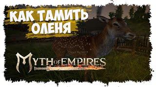 MYTH OF EMPIRES ►  МИНИ-ГАЙД ► КАК ПРИРУЧАТЬ ОЛЕНЕЙ