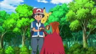 Pokemon XY – Hawlucha. Oglądaj w Disney XD!