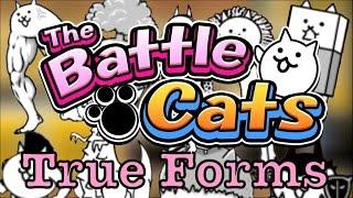 How To Get "Basic" True Forms - The Battle Cats