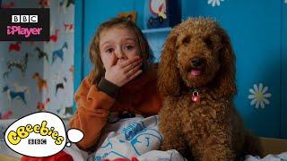 Waffle the Wonder Dog Song Compilation | CBeebies