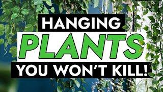 9 GORGEOUS INDOOR HANGING PLANTS PERFECT FOR BEGINNERS