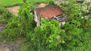 Complete Transformation Clean up ABANDONED HOUSE cut overgrown grass clean up garden AMAZING RESULTS