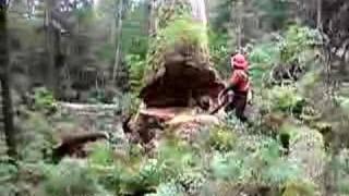 Big Jim timber faller
