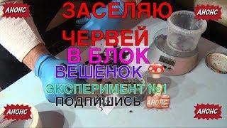 101А→С.2 ЗАСЕЛЯЮ ЧЕРВЕЙ В БЛОК ВЕШЕНОК  ЭКСПЕРИМЕНТ №1