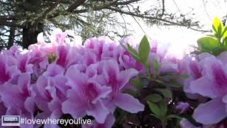 Living in Danville, CA Community Video | Presented by Coldwell Banker