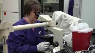 A Focus on Service: The Kansas State Veterinary Diagnostic Lab