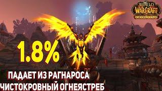 Мне выпал Редкий маунт выпадающий с Рагнароса В Огненных Просторах Огнеястреб - Красивый маунт Wow