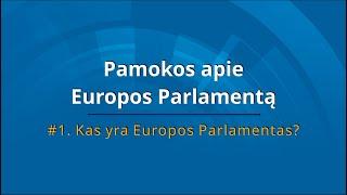 Kas yra Europos Parlamentas? Trumpos pamokos su Rasa Juknevičiene apie Europos Parlamentą.