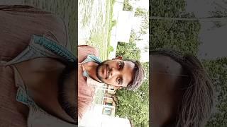 #viral #treding #video #tut jai Raja ji palag sagwan ke#khesari #youtube short