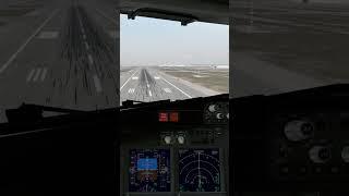 B738 Landing in West Palm Beach | XP12