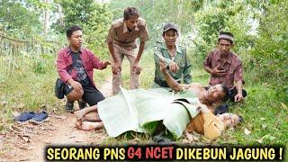 SEORANG PNS D1GR3-BEK G4NC3T DIKEBUN JAGUNG , AKHIRNYA MENYESAL SEUMUR HIDUP