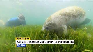 ABC7 Exclusively talks to Wildlife Nation host Jeff Corwin