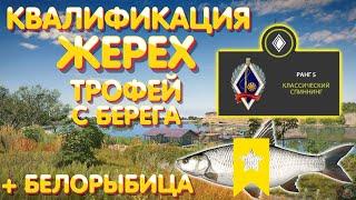 Квалификация - Жерех ТРОФ с берега на колебалку + Белорыбица | р. Ахтуба | Русская Рыбалка 4