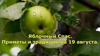 Яблочный Спас. Приметы и традиции на 19 августа.