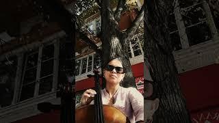 clasical music in Plovdiv #musicstreet #isavioloncello #avemaria #cellocover #bulgaria #plovdiv
