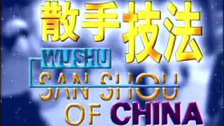 Техника ушу-саньда. Ударная техника, связки и комбинации. Фильм 1