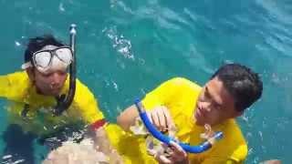 Snorkeling di Pulau Lengkuas