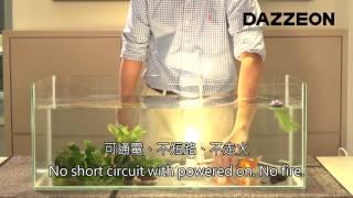 DAZZEON - Bluetooth LED Bulb Works under Water │戴壟 - 能在水下變色的藍芽LED燈泡