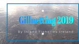 Inland Fisheries Ireland 2019 Gillnetting.