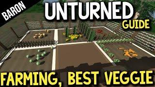 Unturned Farming Tutorial, Best Vegetable to Farm?  Advanced Building Tutorial