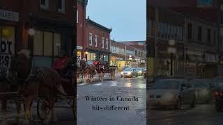 Winters in Canada #canadianlife #desilivingincanada #winterseason