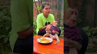 Monkey lives happily ever after with his human family ���� #ForeverHappy #MonkeyMoments