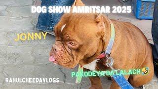 AMRITSAR DOG SHOW | ISHAN DI PEGYI DUSHMANI  LABERADOR NAL