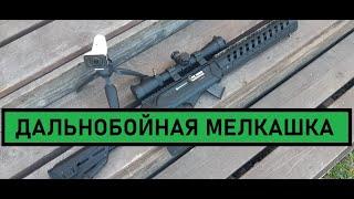 Дальнобойность мелкашки. CZ 512 на 200 метров против ДСП. Проникающая способность.