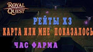 Royal Quest - #40/1 час фарма/Катакомбы контрабандистов/2021