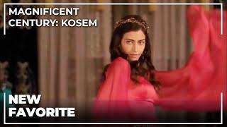 Katerina's Dance Show | Magnificent Century: Kosem