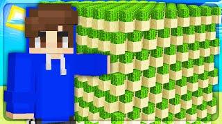 A Cactus Farm Is All You Need To Be Rich | Minecraft Skyblock | AkumaMC