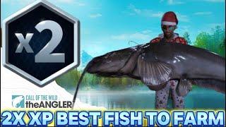 Double XP Is Now Active - Best Fish To Farm Ultimate Guide - Call Of The Wild - The Angler