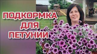 Очень простая подкормка петунии.