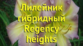 Лилейник гибридный Редженси Хейхтс. Краткий обзор, описание hemerocallis Regency heights