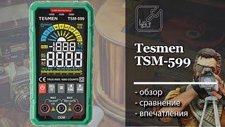  Обзор тестера Tesmen TSM-599 