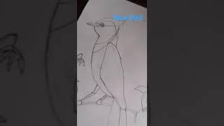 I Can draw a blue bird