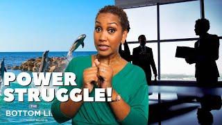 Power Struggle at Dolphin Cove!