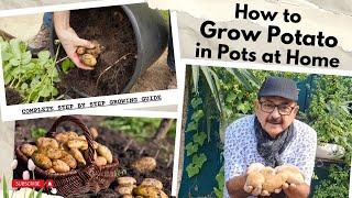 How To Grow Potatoes At Home : Easy Step-by-Step Guide for Pots & Containers #kitchengarden