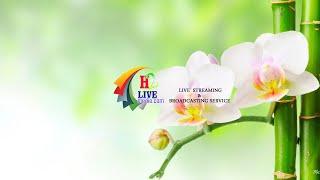 H2 LIVE MEDIA LIVE STREAMING