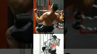 the best back exercises 